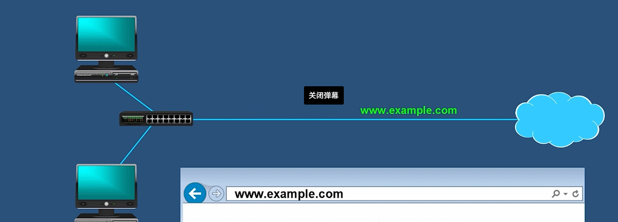 image-20241213202552394