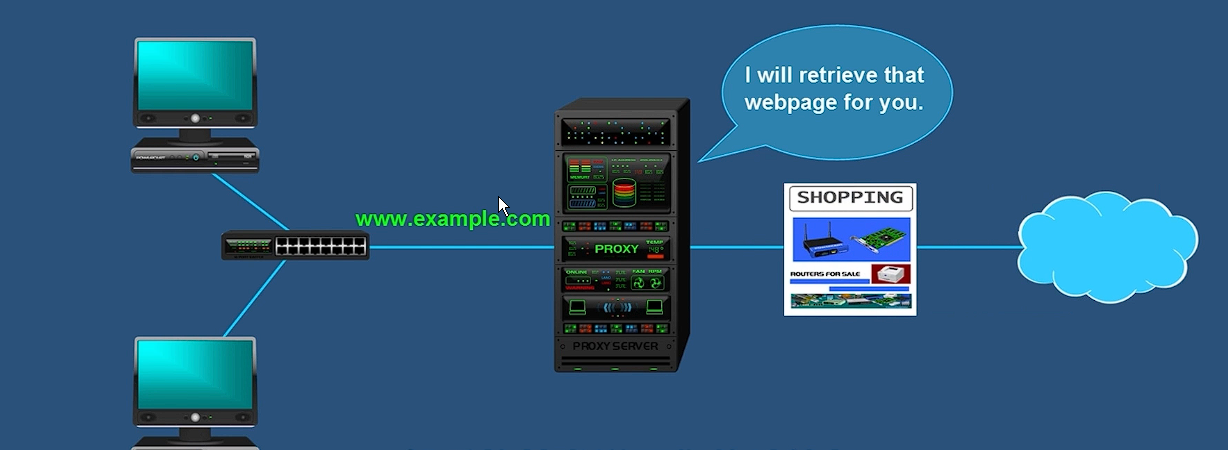 image-20241213202833425