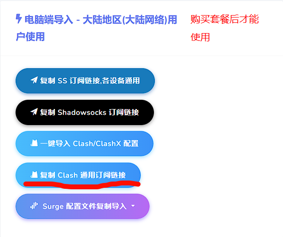 image-20241213210338391