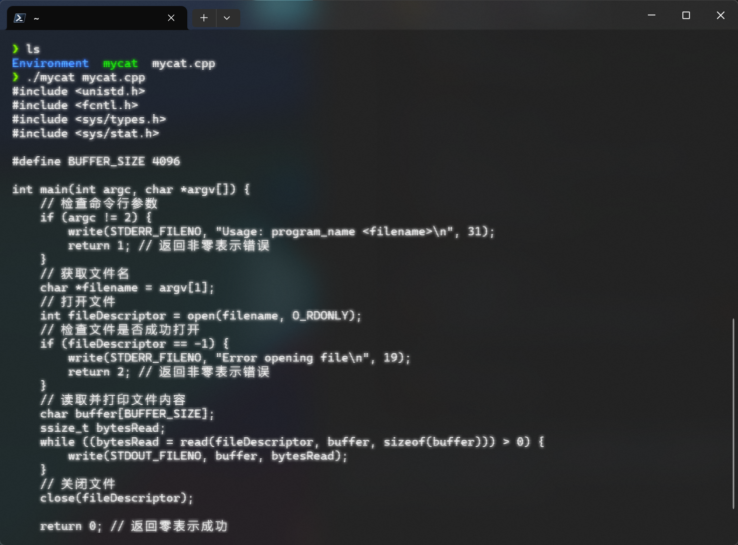 image-20231206220309890