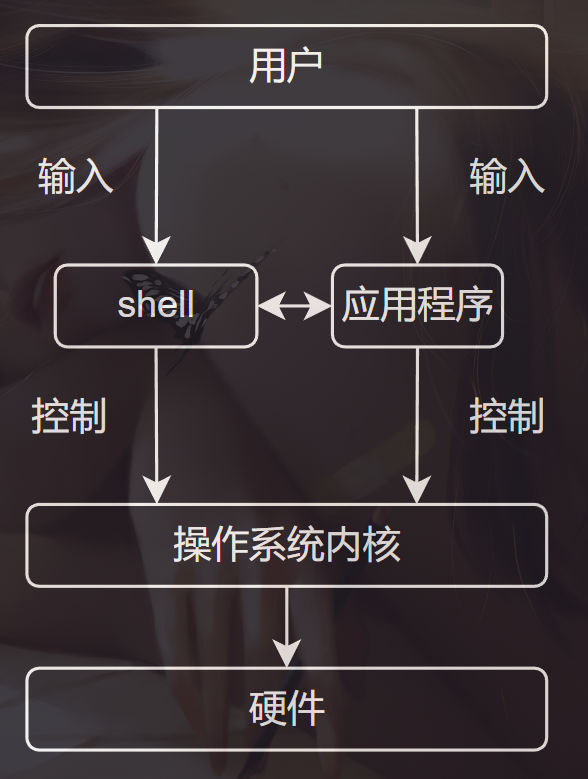 image-20231206222404523