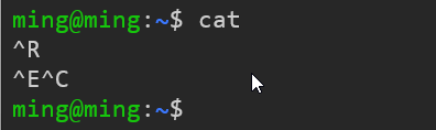 image-20241029142131414