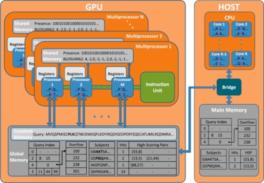 image-20241116001039500