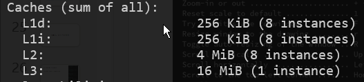 image-20241112173752694